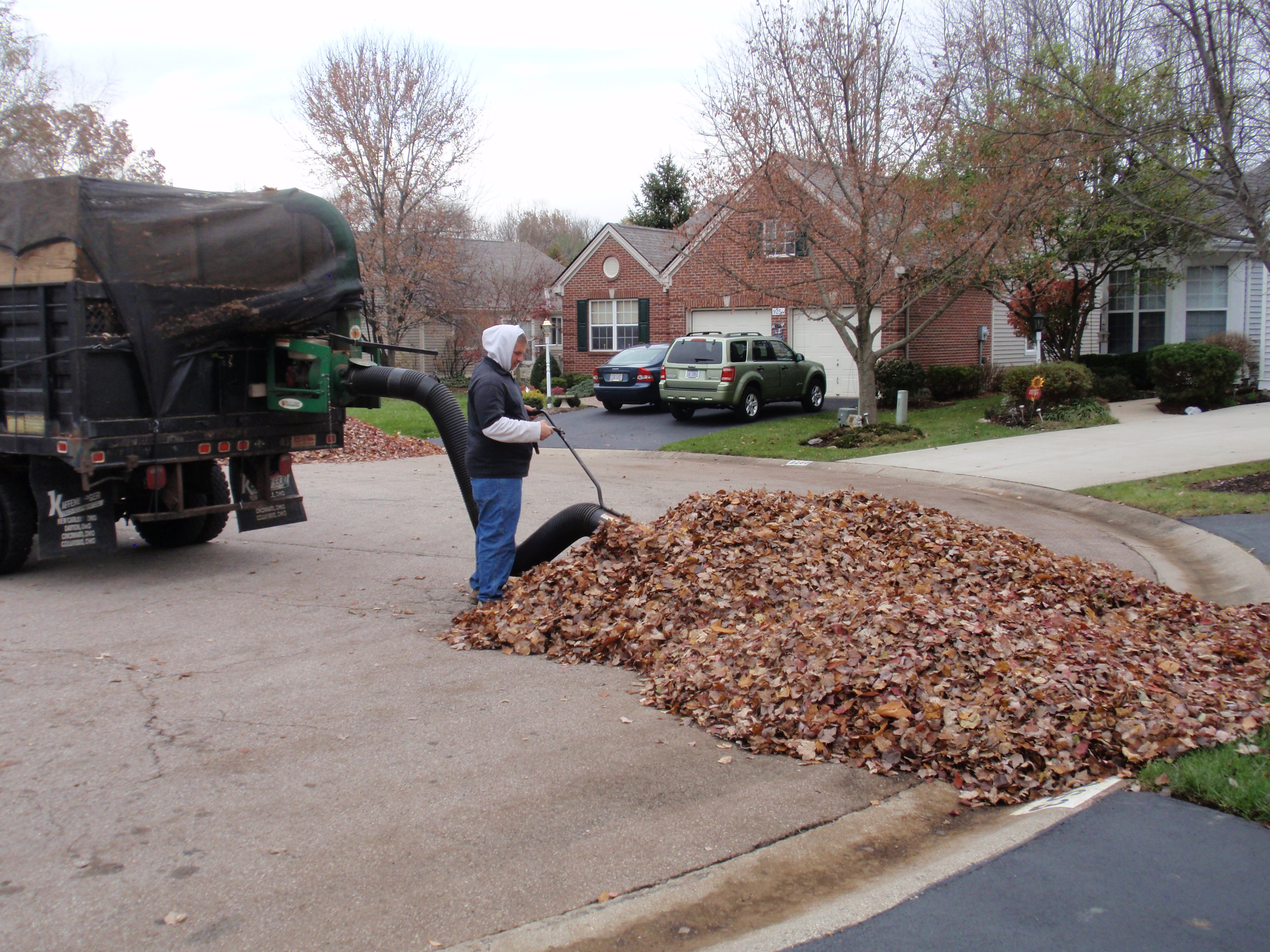 Leaf Removal